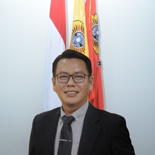 Dr. Mada Apriandi, S.H., MCL.